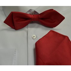 Pánský motýlek s kapesníkem M5 - vzor 224