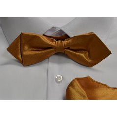 Pánský motýlek s kapesníkem M5 - vzor 219