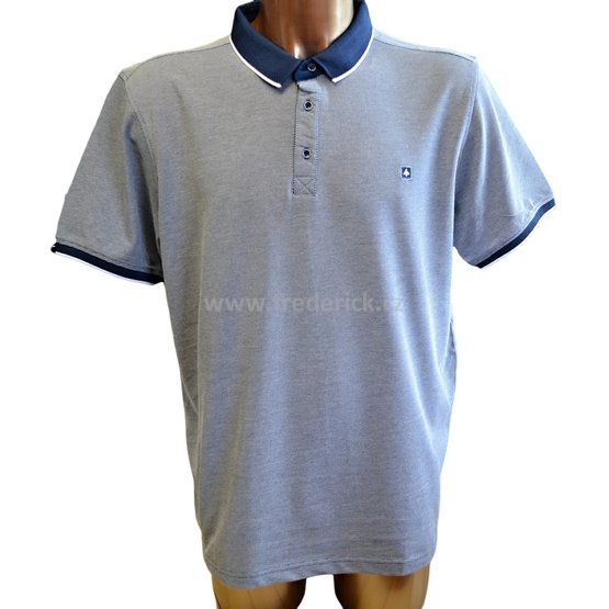 POLO-008 (1)(1).jpg